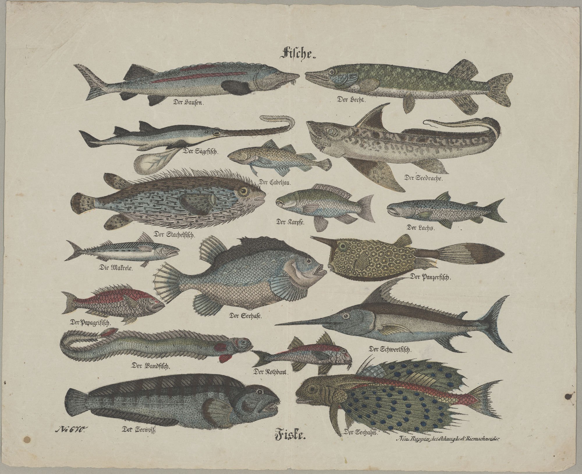 Fische. - Fiske. (Kulturstiftung Sachsen-Anhalt Public Domain Mark)