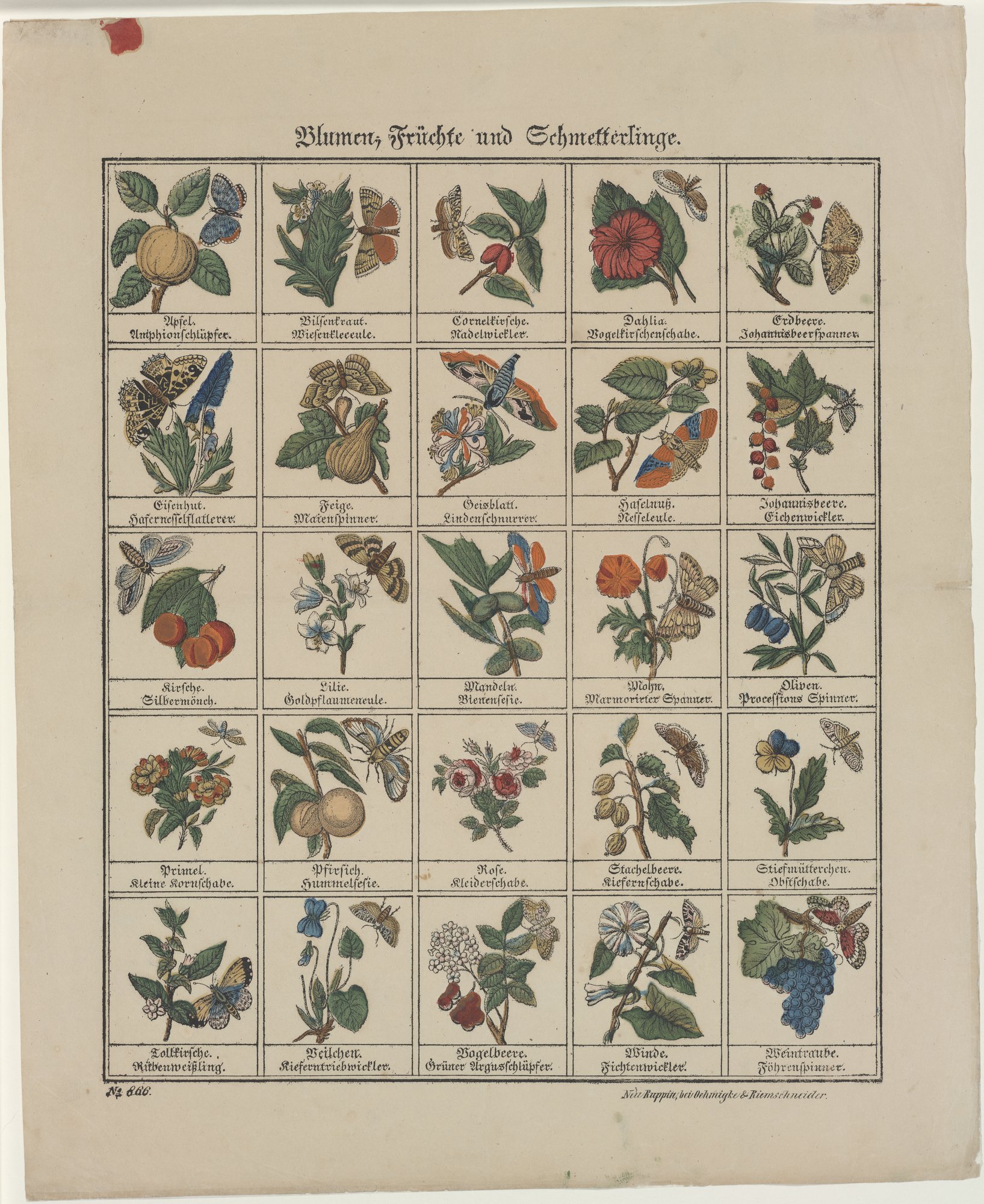 Blumen, Früchte und Schmetterlinge. (Kulturstiftung Sachsen-Anhalt Public Domain Mark)