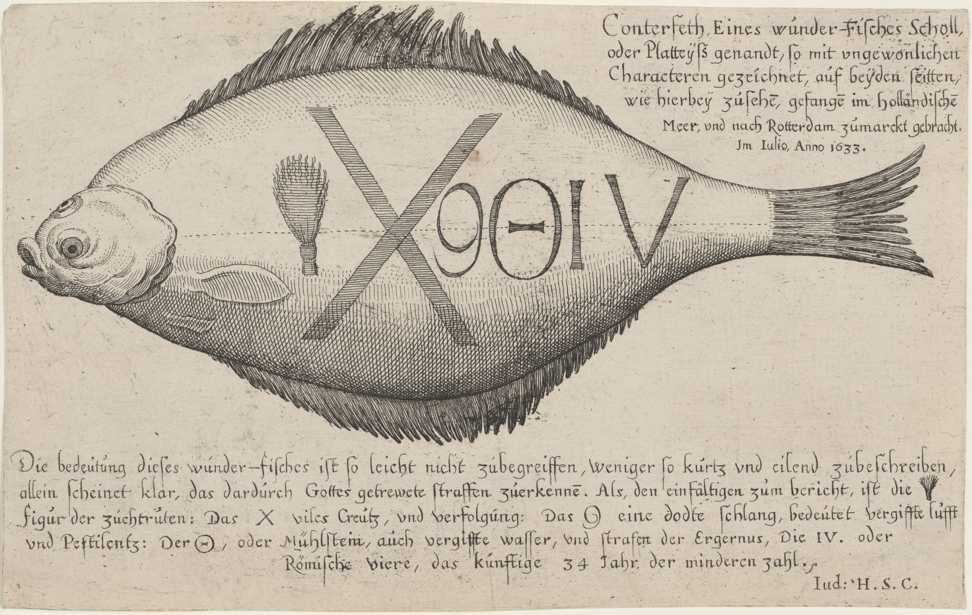 Conterfeth Eines wunder-Fisches Scholl,/ oder Platteyß genandt, so mit ungewonlichen/ Characteren gezeichnet, auf beyden seitten,/ wie hierbey zusehe, (Kulturstiftung Sachsen-Anhalt Public Domain Mark)