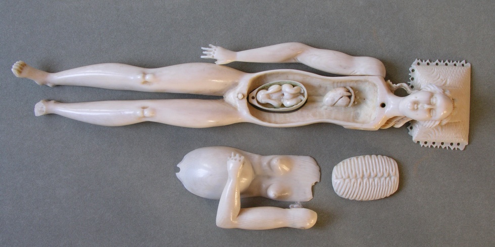 Anatomisches Modell einer Schwangeren (Kulturstiftung Sachsen-Anhalt RR-F)