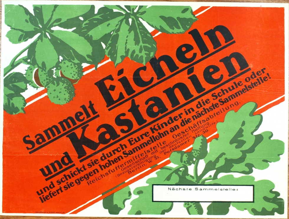 Plakat/ Sammelaufruf &quot;Sammelt Eicheln und Kastanien...&quot;,1. Weltkrieg 1914- 1918 (Museum Weißenfels - Schloss Neu-Augustusburg CC BY-NC-SA)