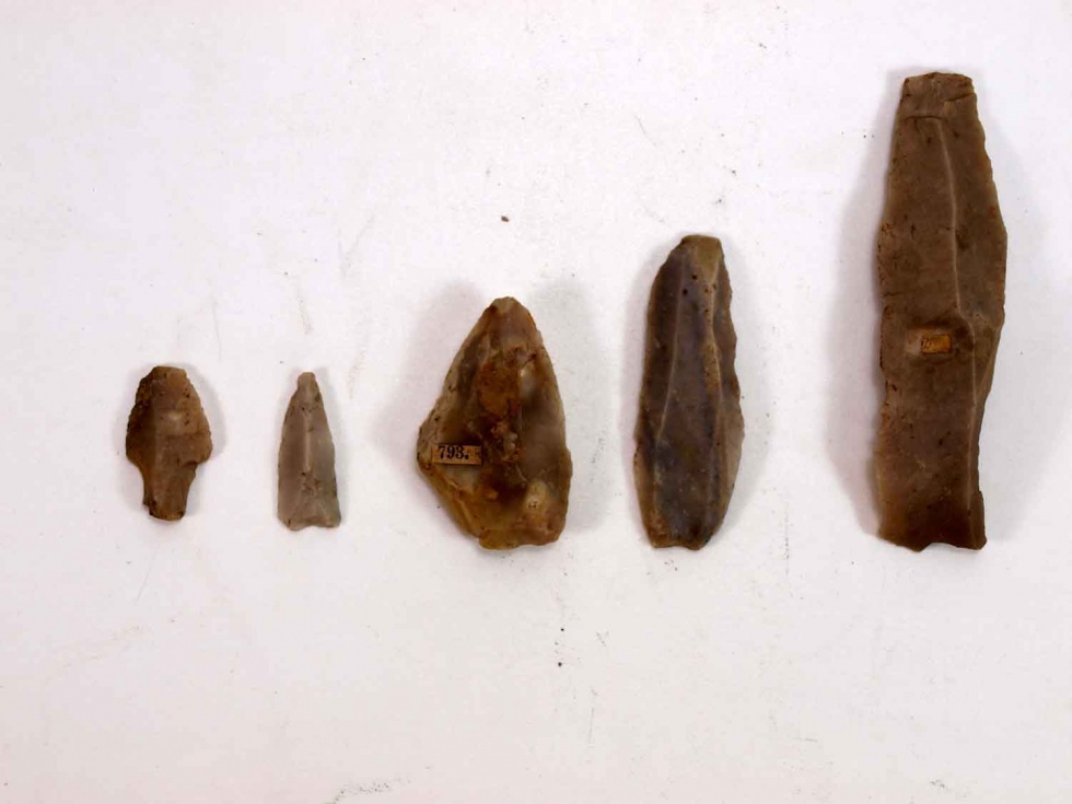 Feuersteinwerkzeuge, Pfeilspitzen, Hollsteitz, Neolithikum (Museum Weißenfels - Schloss Neu-Augustusburg CC BY-NC-SA)