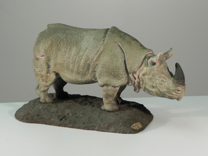 Indisches Panzernashorn, Rhinoceros unicornis Linnaeus, 1758 (ZNS Uni Halle: Zoologische Sammlung CC BY-NC-SA)