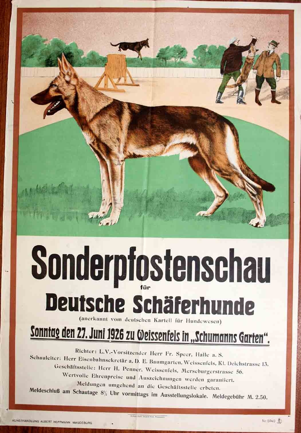 Plakat/Kultur &quot;Sonderpfostenschau für Deutsche Schäferhunde&quot; (Museum Weißenfels - Schloss Neu-Augustusburg CC BY-NC-SA)
