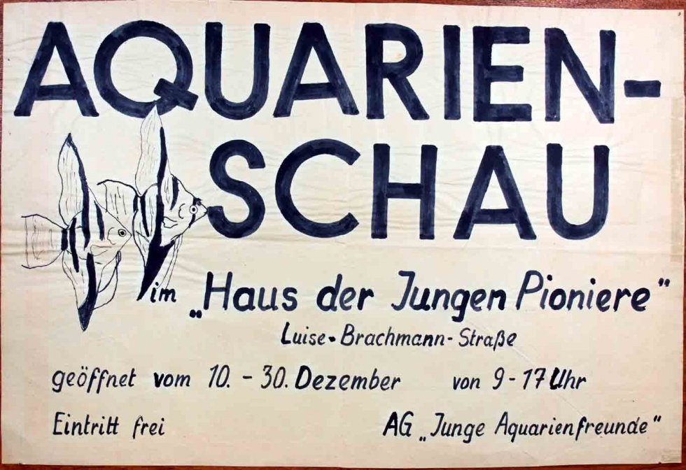 Plakat/Kultur/ Bildung (Museum Weißenfels - Schloss Neu-Augustusburg CC BY-NC-SA)
