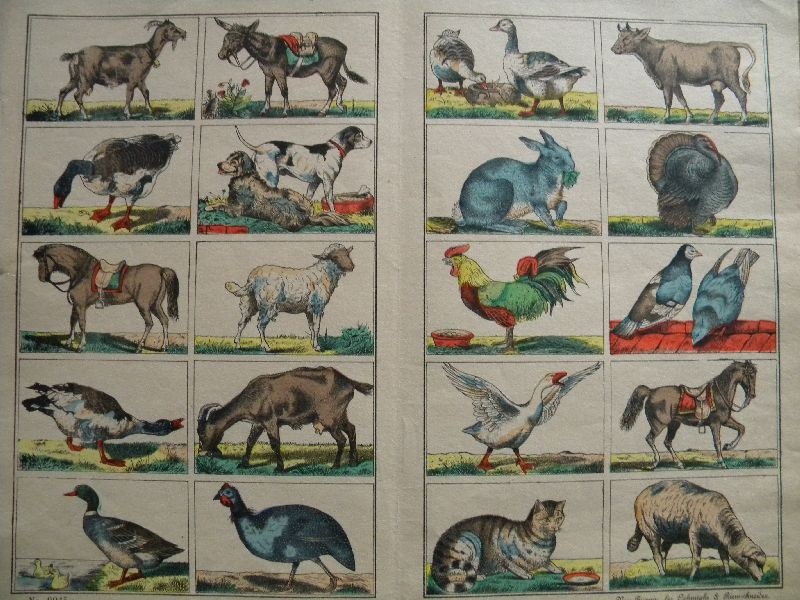 20 verschiedene Tiere, Bogen No. 9945 (Schloß Wernigerode GmbH RR-F)