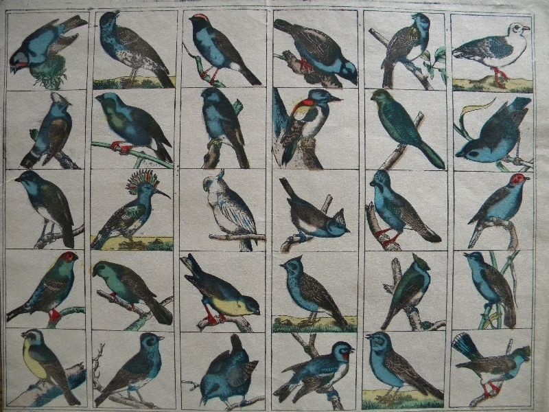 30 verschiedene Vögel, Bogen No. 9722 (Schloß Wernigerode GmbH RR-F)