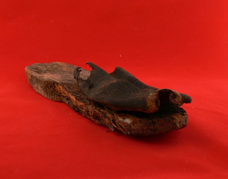 Holzpantine mit Leder (Kreismuseum Jerichower Land, Genthin CC BY-NC-SA)