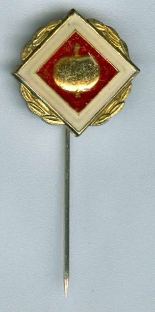Ehrennadel der Fachrichtung Kleingärtner und Siedler in Gold, DDR (Museum Weißenfels - Schloss Neu-Augustusburg CC BY-NC-SA)