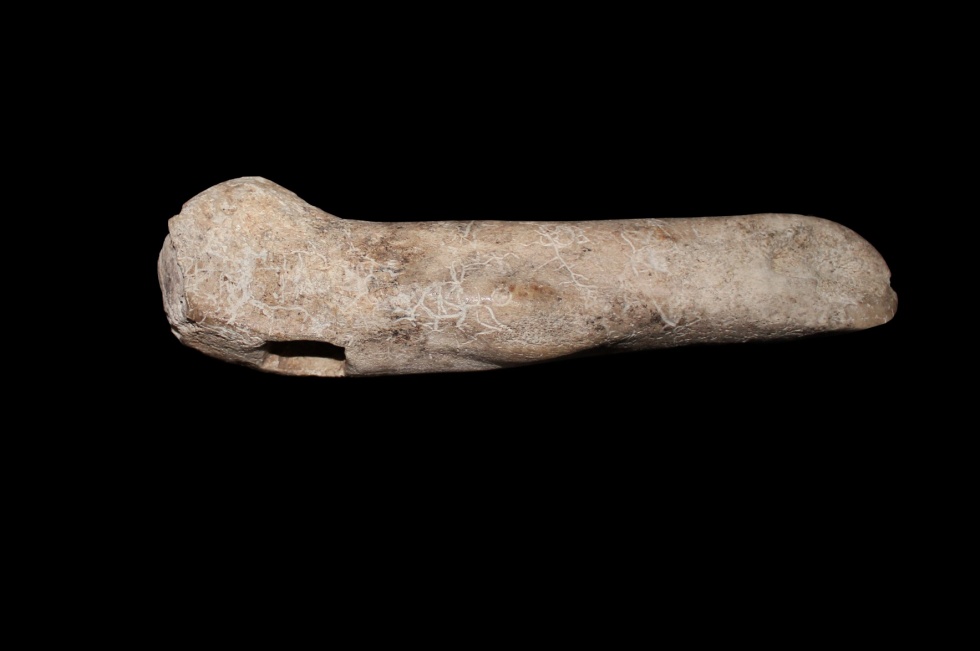 Geweihaxt aus der Stange eines Rothirsches (Heimatmuseum Osterwieck CC BY-NC-SA)