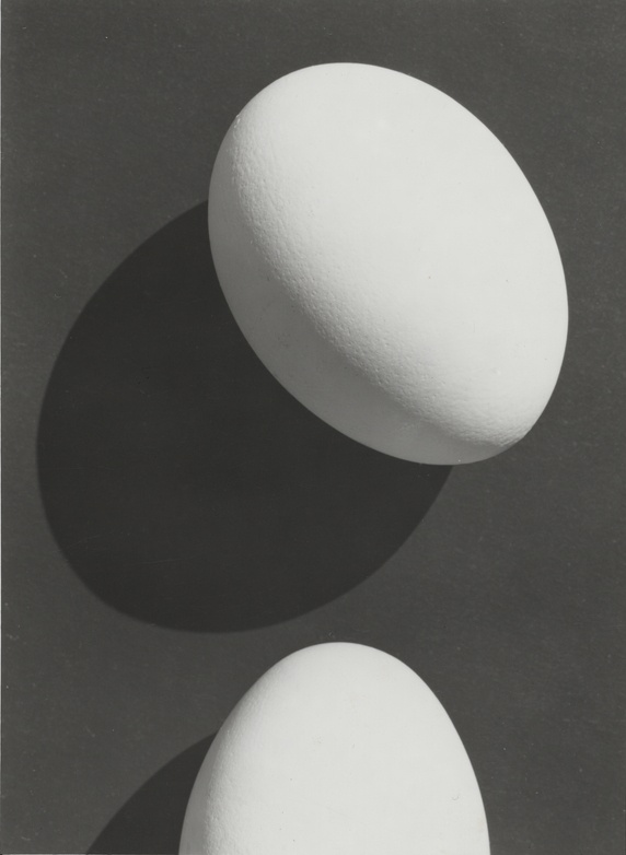 Zwei Eier, Positiv (Kulturstiftung Sachsen-Anhalt CC BY-NC-SA)