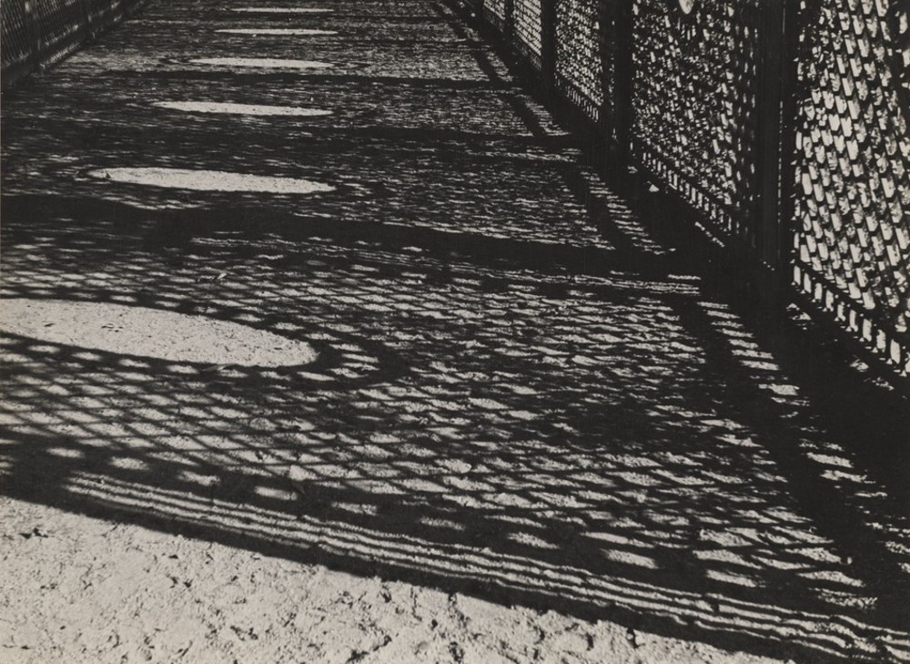Schatten im Laubengang von Sanssouci (Kulturstiftung Sachsen-Anhalt CC BY-NC-SA)