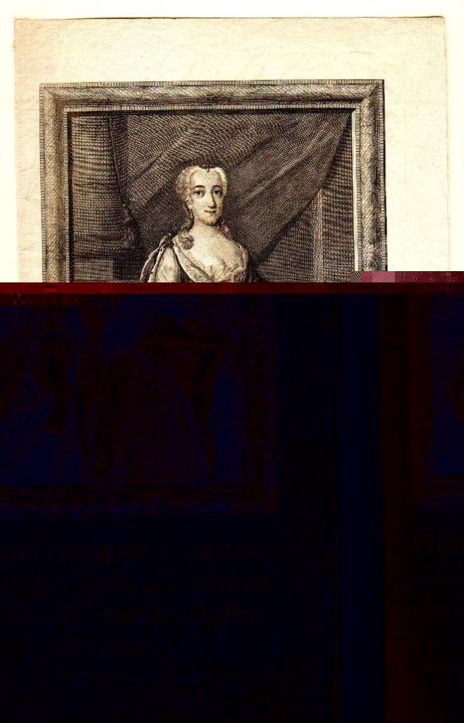 Charlotte Friderica Amalia. Vermählte Fürstin zu Anhalt, geb. Fürstin zu Nassau-Siegen (Museum Schloss Bernburg CC BY-NC-SA)