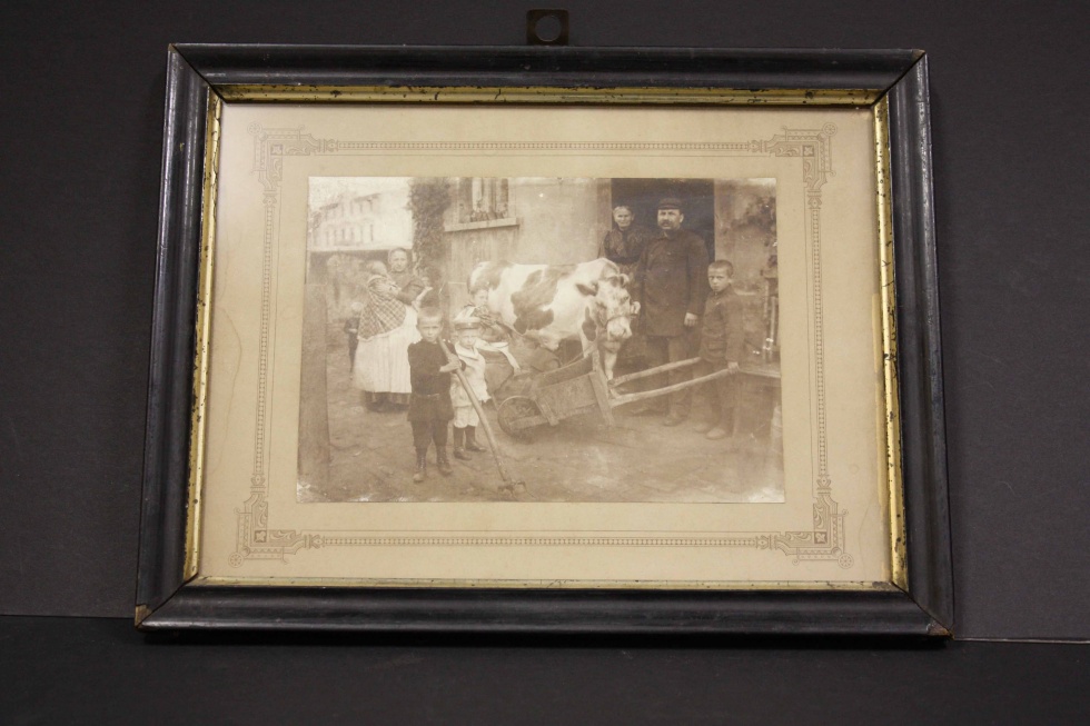 Fotografie Familie mit Kuh (Museum Wolmirstedt RR-F)