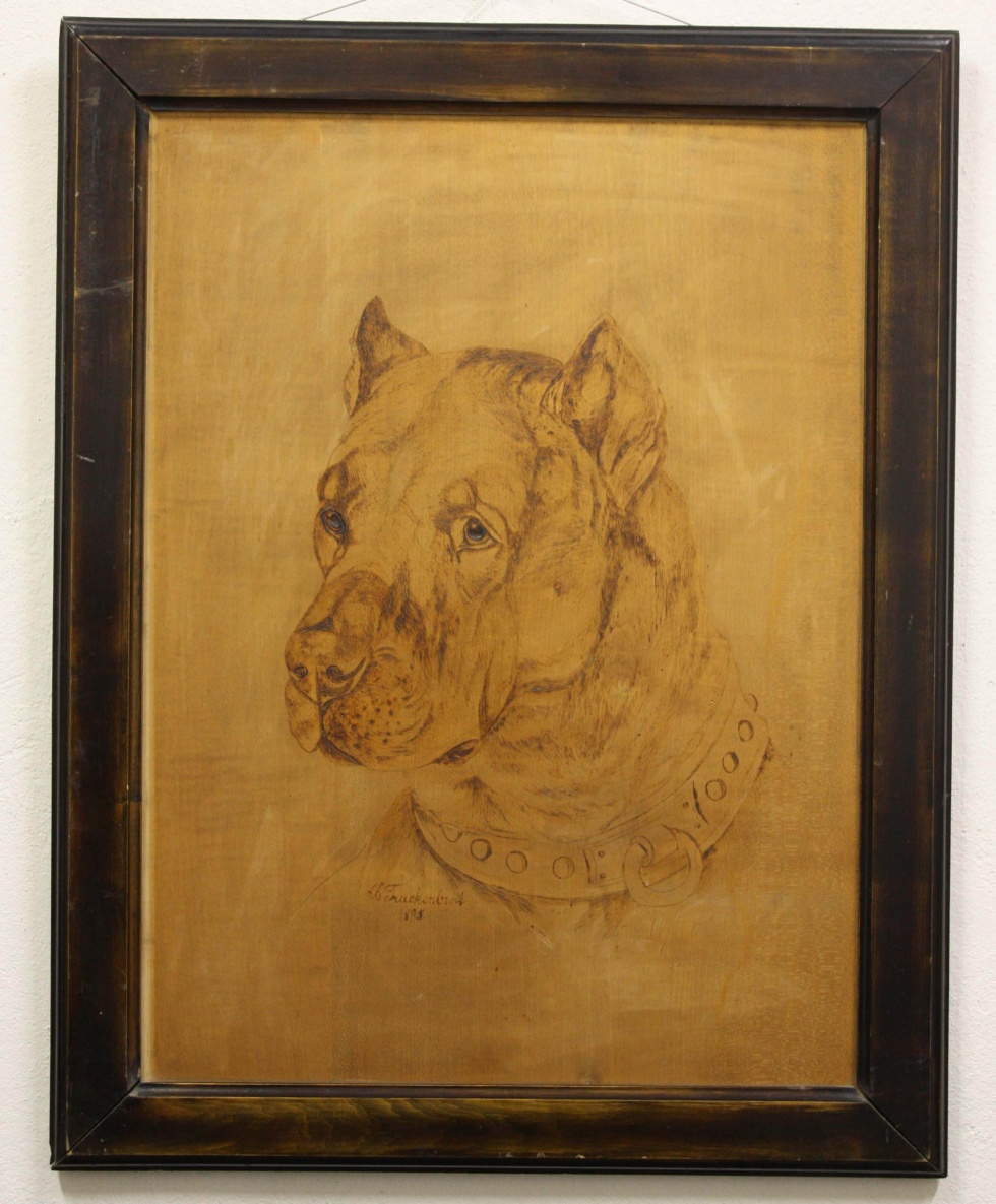 Bild, großer Hund, gerahmt (Museum Wolmirstedt RR-F)