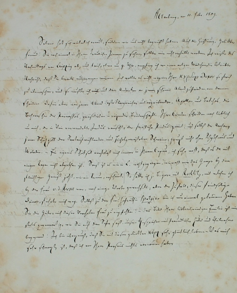 Brief von Messerschmidt vom 10.11.1809 (Museum im Schloss Lützen CC BY-NC-SA)