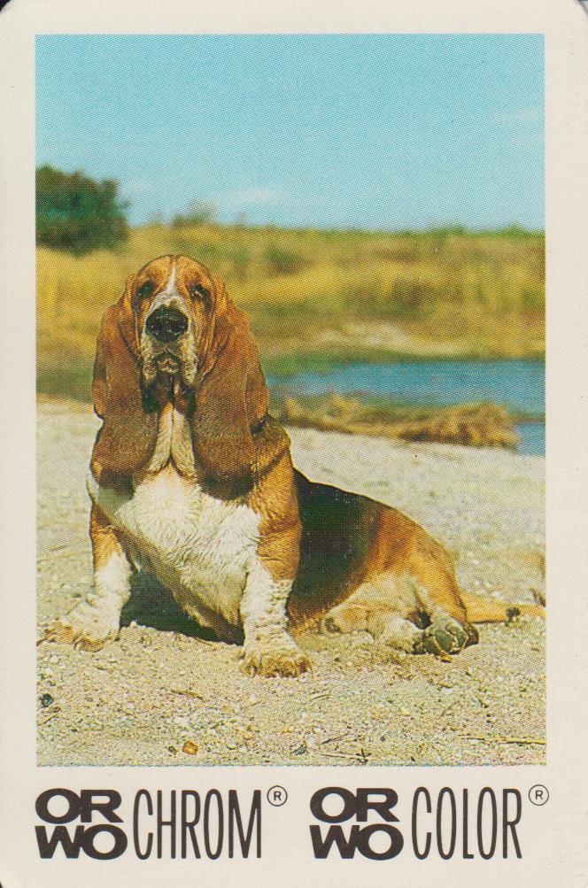 ORWO Taschenkalender Hund 1990 (Industrie- und Filmmuseum Wolfen CC BY-NC-SA)