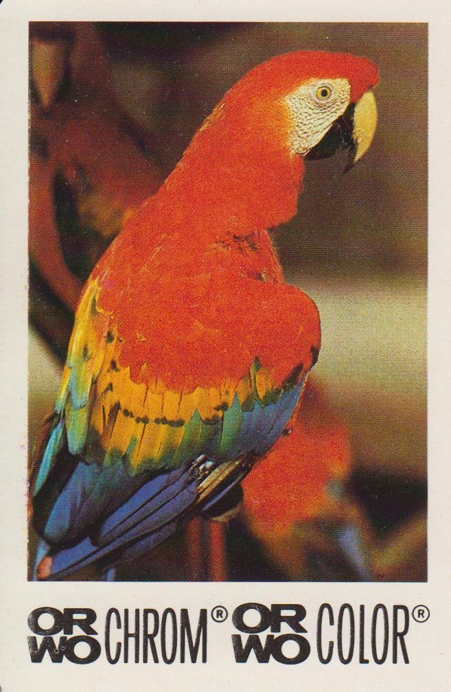 ORWO Taschenkalender Papagei 1989 (Industrie- und Filmmuseum Wolfen CC BY-NC-SA)