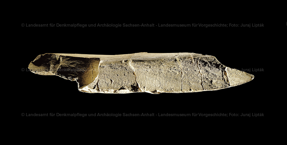 Gravierter Knochen eines Elefanten (Landesamt für Denkmalpflege und Archäologie Sachsen-Anhalt - Landesmuseum für Vorgeschichte RR-F)