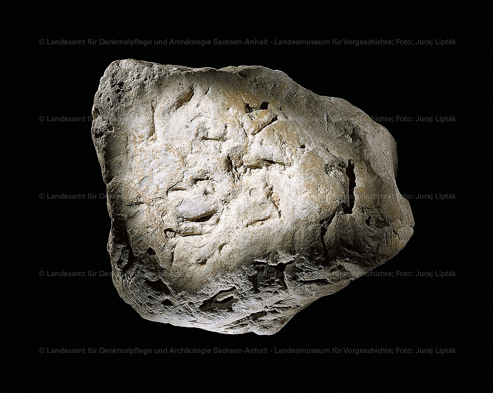 Amboss mit eingeschlagenen Knochenpartikeln aus Bilzingsleben (Landesamt für Denkmalpflege und Archäologie Sachsen-Anhalt - Landesmuseum für Vorgeschichte RR-F)