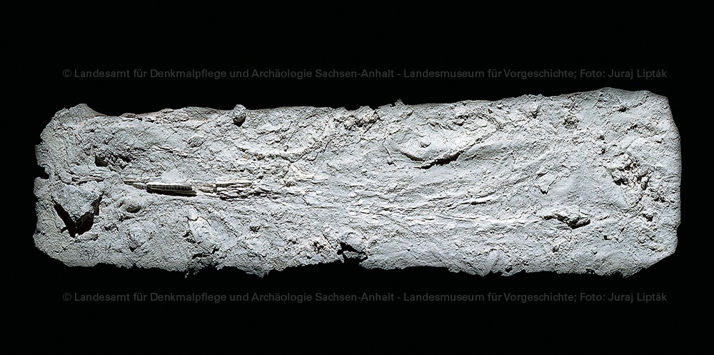 Kalzinierte Überreste von Hölzern aus Bilzingsleben (Landesamt für Denkmalpflege und Archäologie Sachsen-Anhalt - Landesmuseum für Vorgeschichte RR-F)