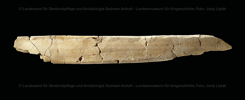 Rippe eines Großtieres mit Gravierungen aus Bilzingsleben (Landesamt für Denkmalpflege und Archäologie Sachsen-Anhalt - Landesmuseum für Vorgeschichte RR-F)