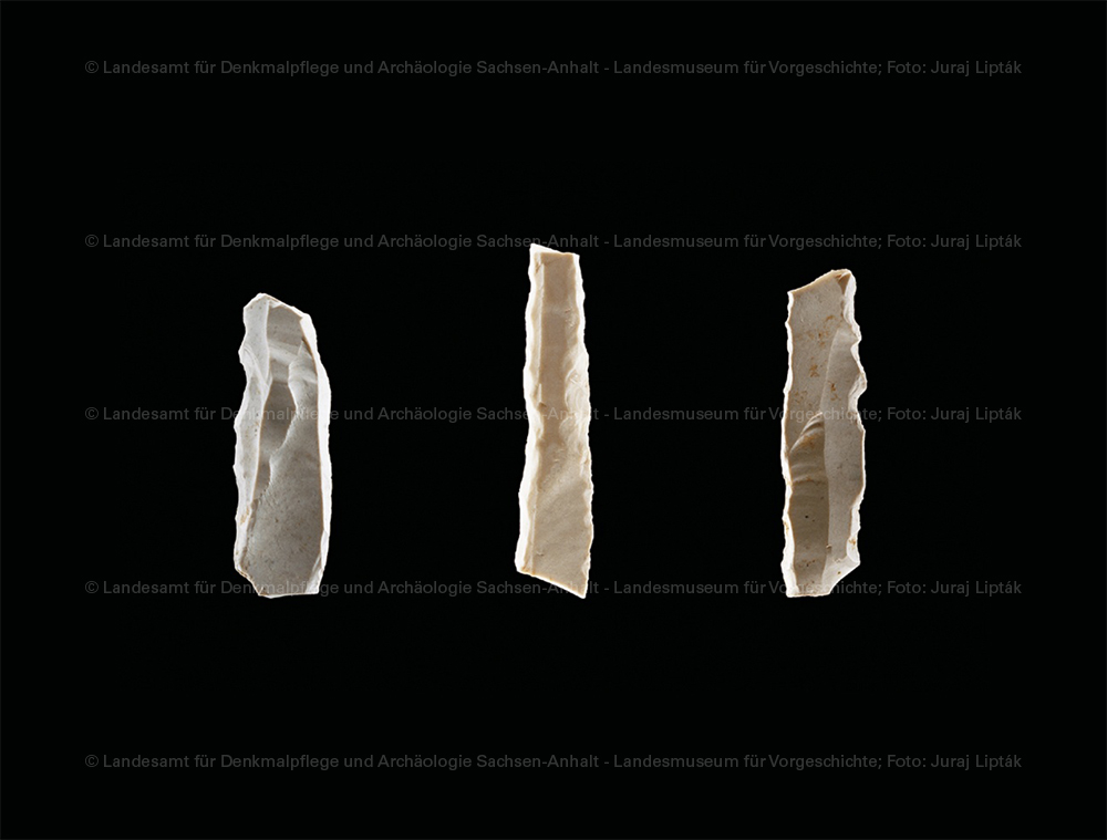 Jungpaläolithische Rückenmesserchen aus Nebra (Unstrut) (Landesamt für Denkmalpflege und Archäologie Sachsen-Anhalt - Landesmuseum für Vorgeschichte RR-F)