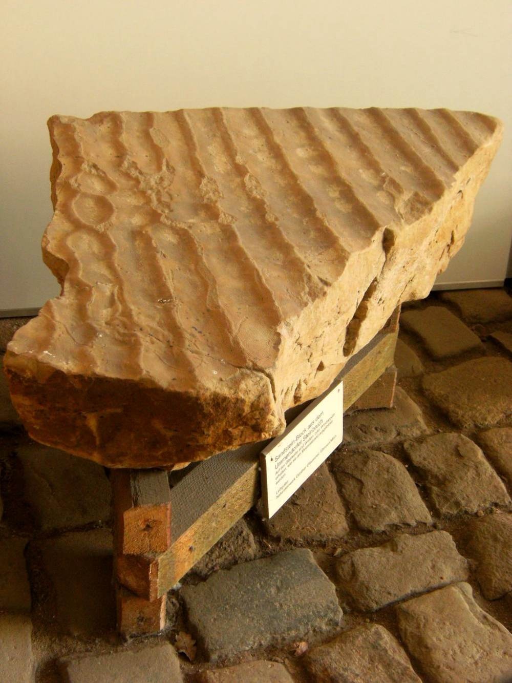 Sandsteinblock mit Wind-/Wasserrippeln (Börde-Museum Burg Ummendorf RR-F)