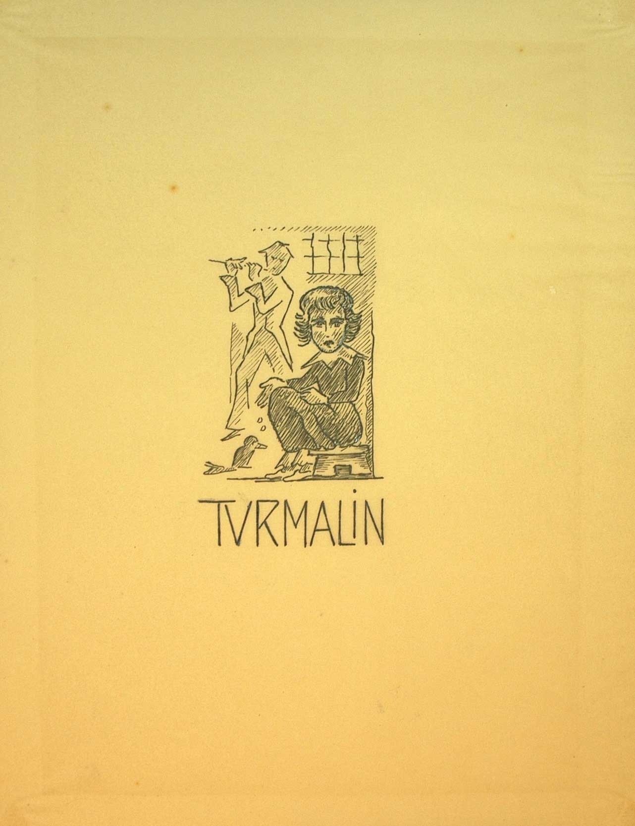 Turmalin (zu A. Stifter &quot;Bunte Steine&quot;) (Winckelmann-Museum Stendal CC BY-NC-SA)