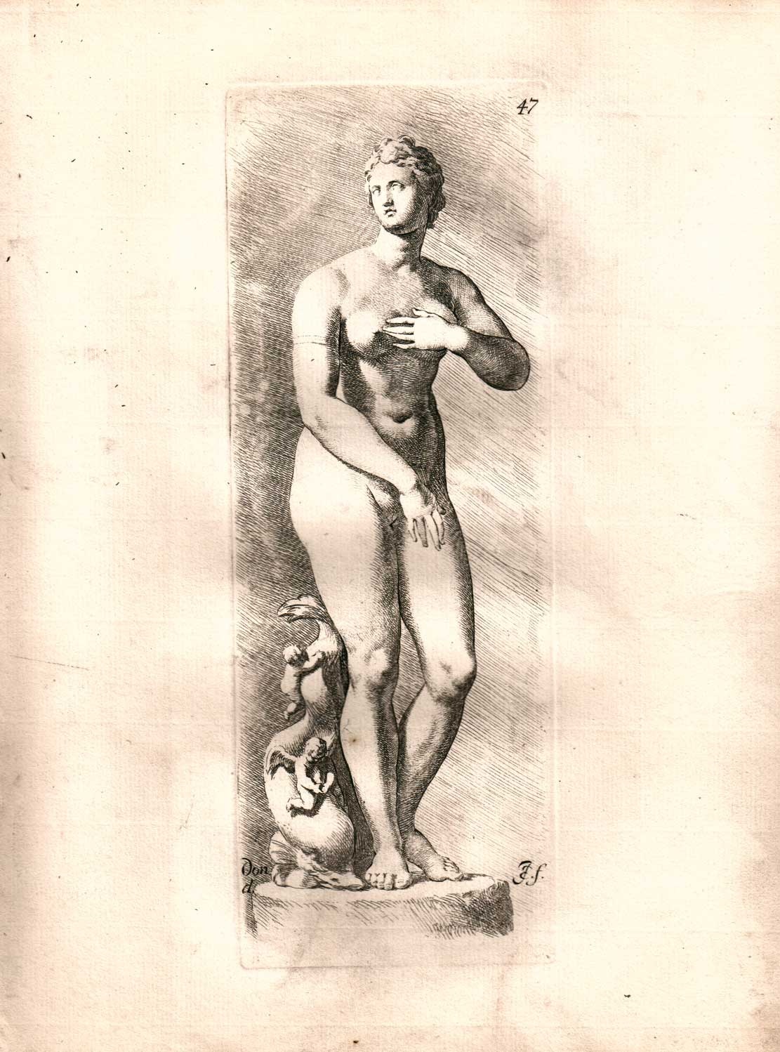Venus Medici (Winckelmann-Museum Stendal CC BY-NC-SA)