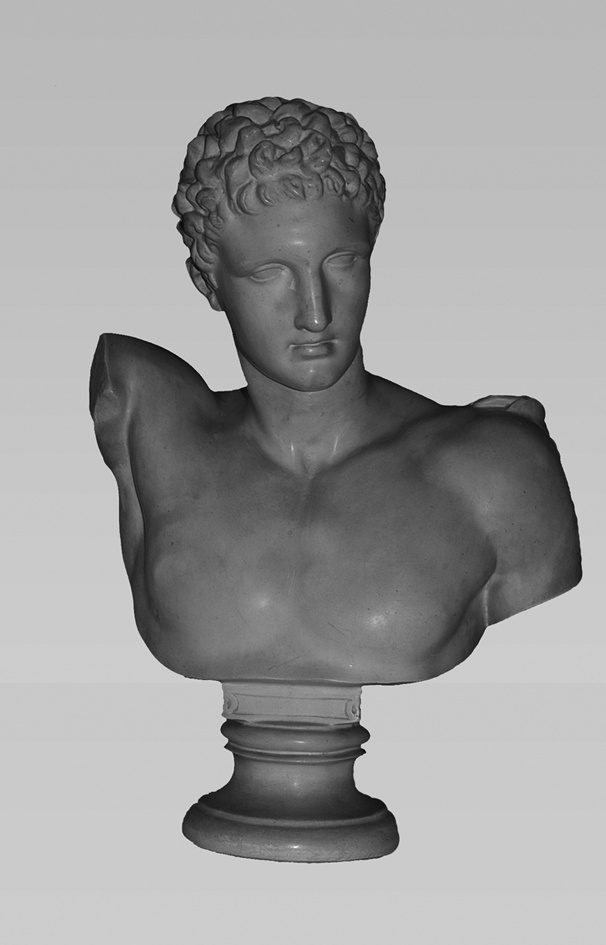Büste des Hermes des Praxiteles (Winckelmann-Museum Stendal CC BY-NC-SA)