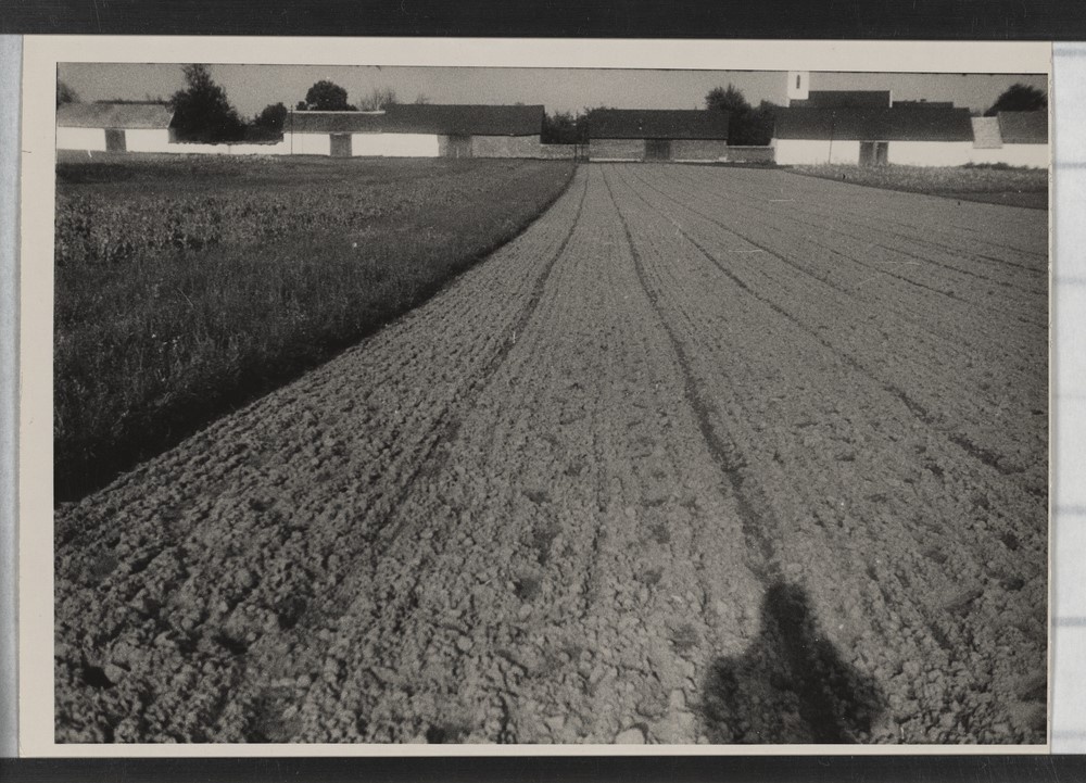 Feld mit Bauerngehöften (Kulturstiftung Sachsen-Anhalt CC BY-NC-SA)