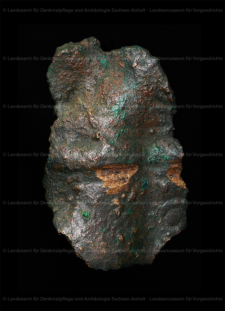 Bronzefragment von Golpa (Landesamt für Denkmalpflege und Archäologie Sachsen-Anhalt - Landesmuseum für Vorgeschichte RR-F)