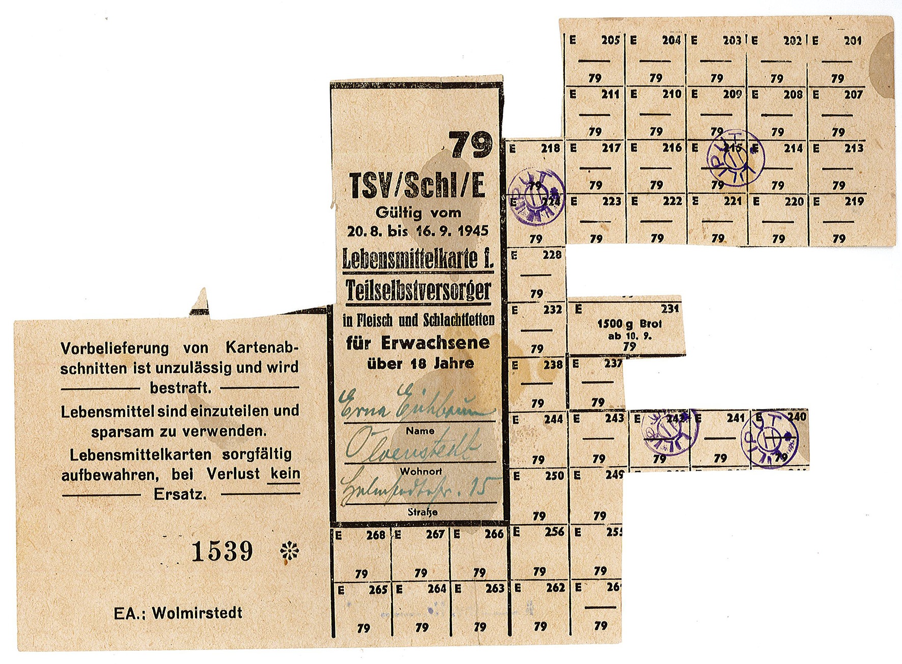 Lebensmittelkarte: Teilselbstversorger in Fleisch und Schlachtfetten für Erwachsene über 18 Jahren, August/September 1945 (Museum Wolmirstedt RR-F)