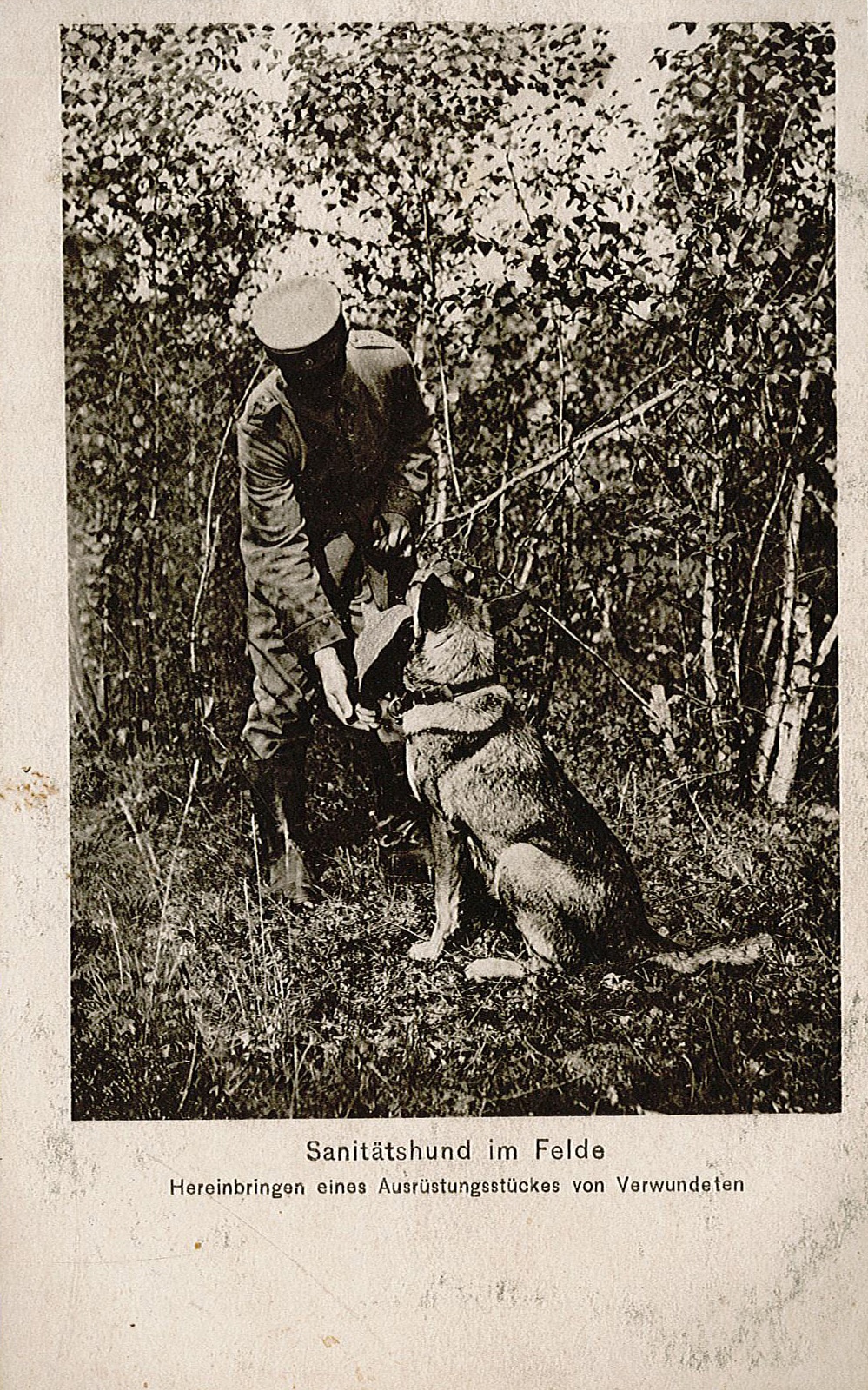 Feldpostkarte von Arthur Wunderlich an Ida Wunderlich, 8. September 1915 (Museum Wolmirstedt RR-F)