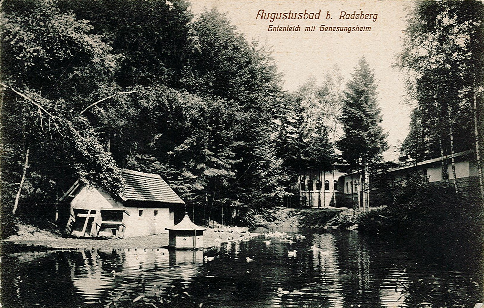 Postkarte "Augustusbad b. Radeberg, Ententeich mit Genesungsheim" (Museum Wolmirstedt RR-F)