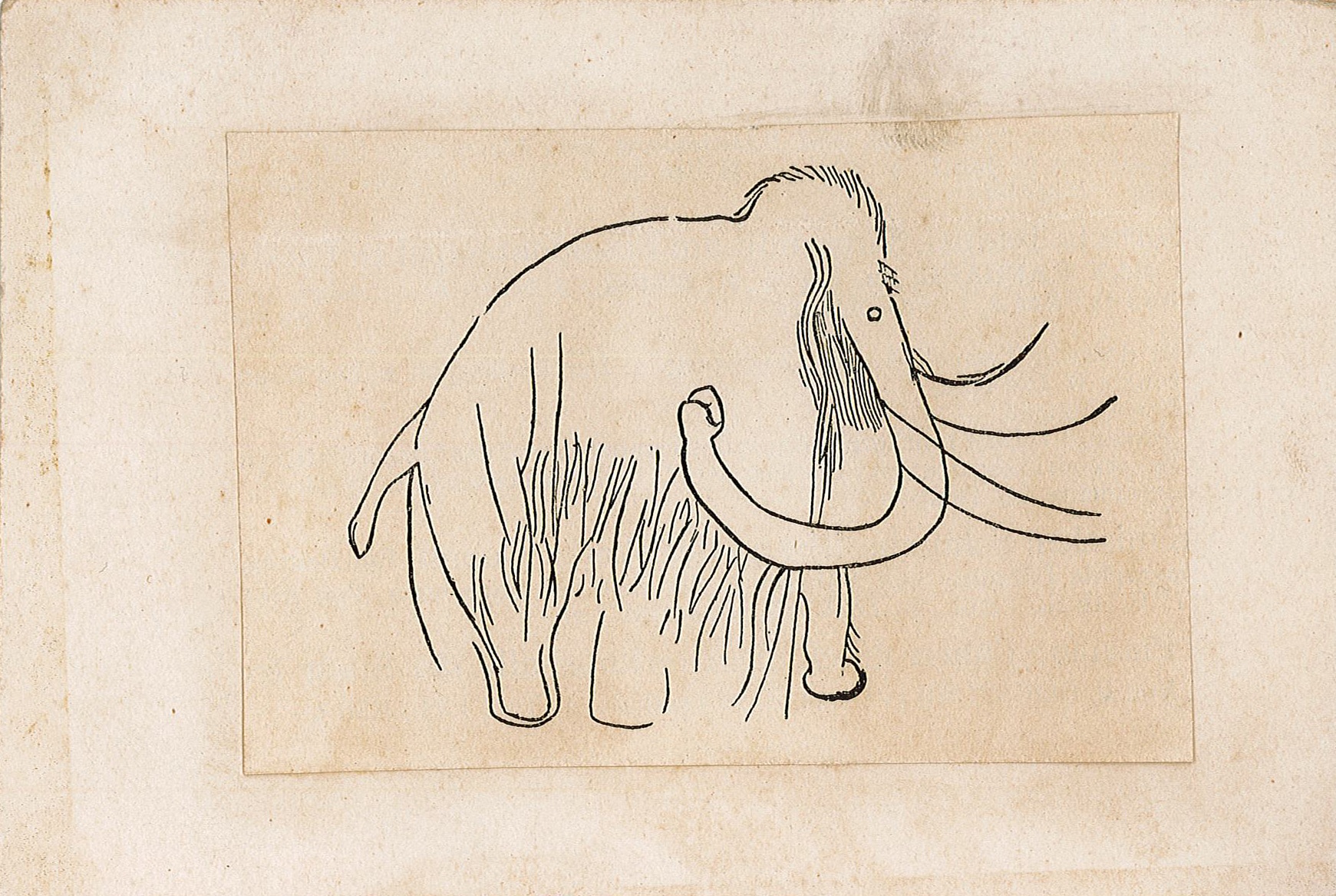 Bild eines Mammuts (Museum Wolmirstedt RR-F)