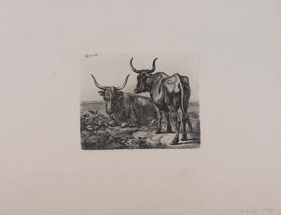 Zwei Kühe auf der Weide (Winckelmann-Museum Stendal CC BY-NC-SA)