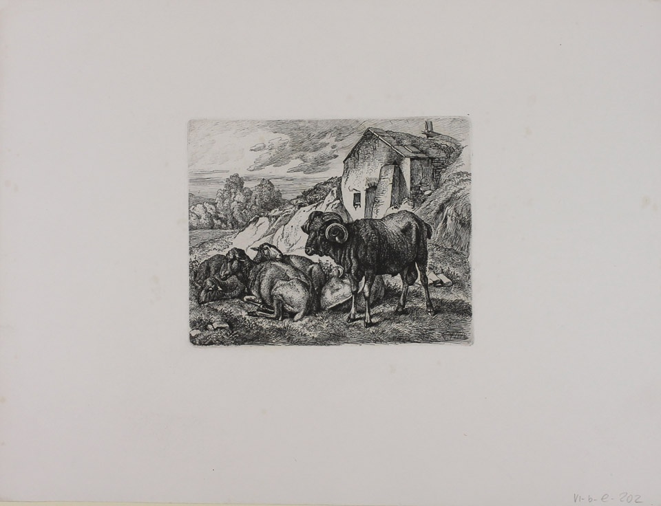 Widder und Schafe (Winckelmann-Museum Stendal CC BY-NC-SA)