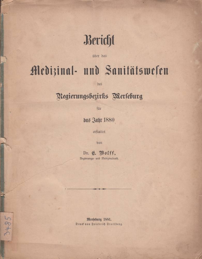 Bericht über das Medizinal- und Sanitätswesen des Regierungsbezirks Merseburg, 1880 (Kreismuseum Bitterfeld CC BY-NC-SA)