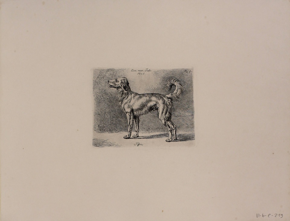 Tiffon (Dänischer Hund) (Winckelmann-Museum Stendal CC BY-NC-SA)