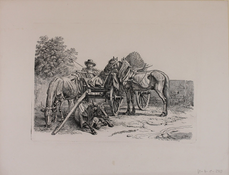 Nürnberger Bauernfuhrwerk mit Pferd und Ochse (Winckelmann-Museum Stendal CC BY-NC-SA)