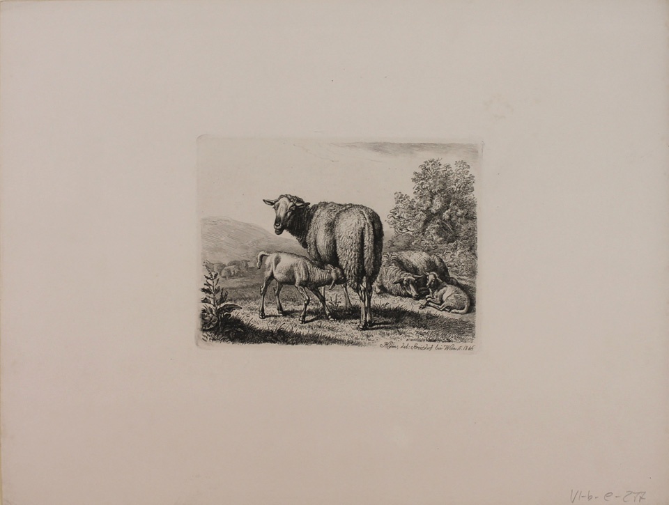Schafe auf der Weide (Winckelmann-Museum Stendal CC BY-NC-SA)