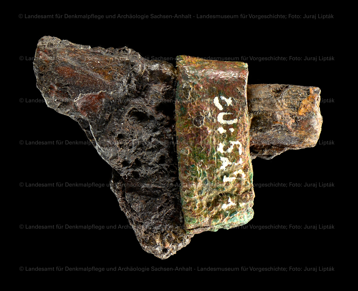 Fragment eines Messers aus Grab 44 von Schkopau, Saalekreis (Landesamt für Denkmalpflege und Archäologie Sachsen-Anhalt - Landesmuseum für Vorgeschichte RR-F)