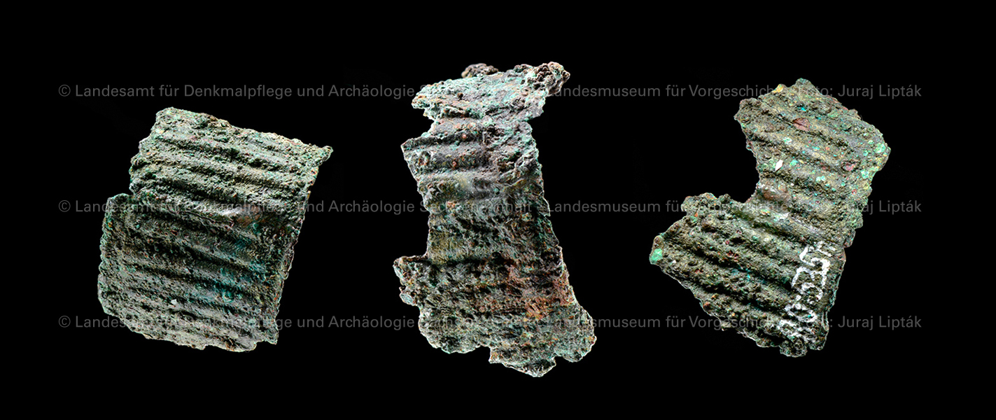 Bestandteile eines Gürtels (Landesamt für Denkmalpflege und Archäologie Sachsen-Anhalt - Landesmuseum für Vorgeschichte RR-F)