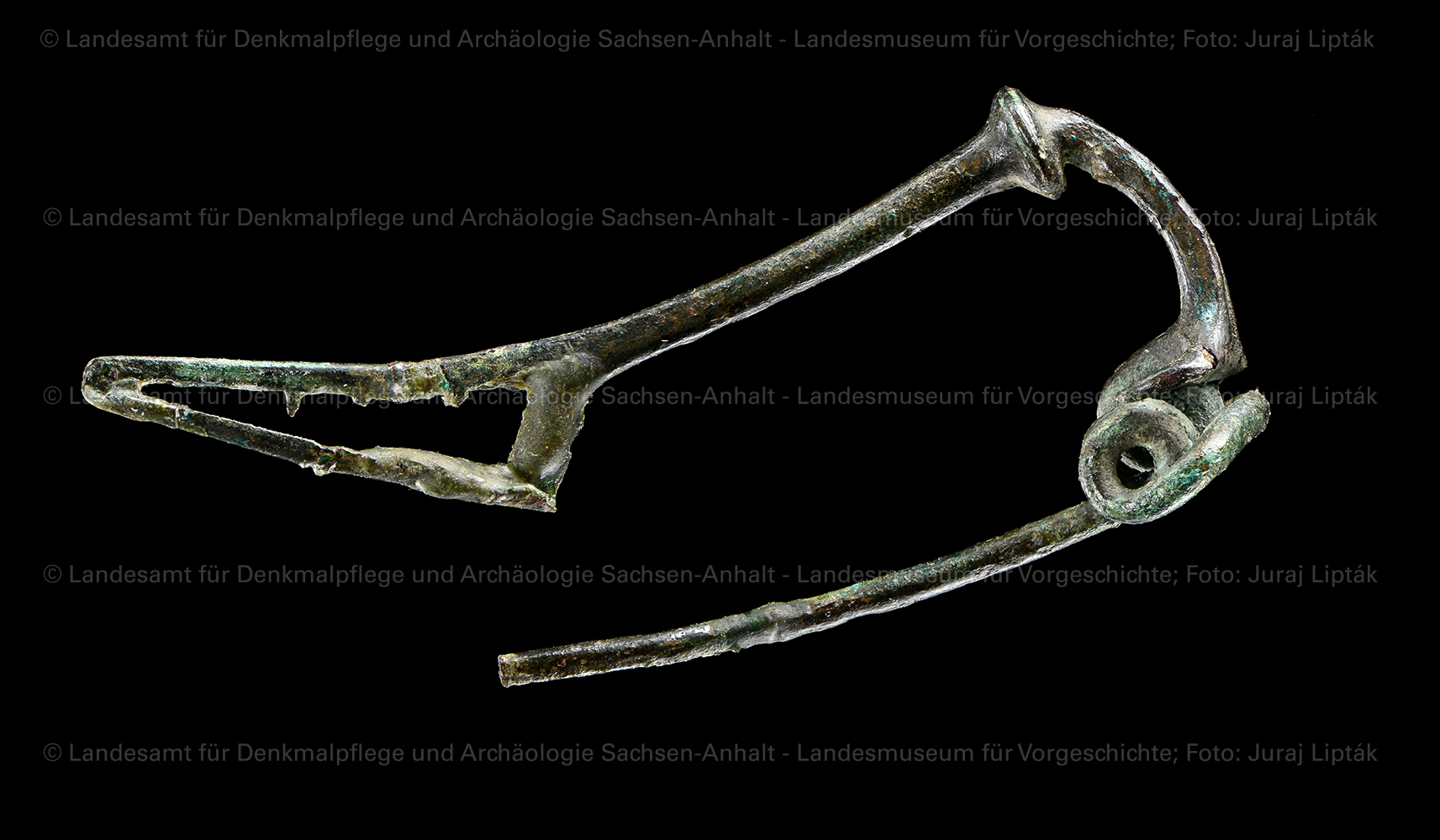 Bronzene Gewandfibeln aus Grab 50 von Schkopau, Saalekreis (Landesamt für Denkmalpflege und Archäologie Sachsen-Anhalt - Landesmuseum für Vorgeschichte RR-F)