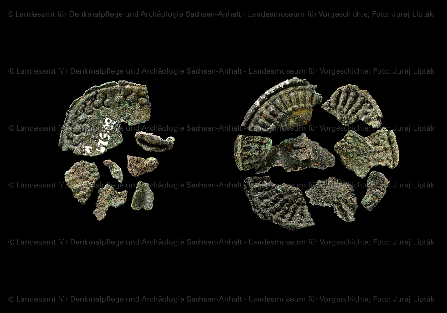 Zwei Bronzezierscheiben des Schildes aus Grab 44 von Schkopau, Saalekreis (Landesamt für Denkmalpflege und Archäologie Sachsen-Anhalt - Landesmuseum für Vorgeschichte RR-F)