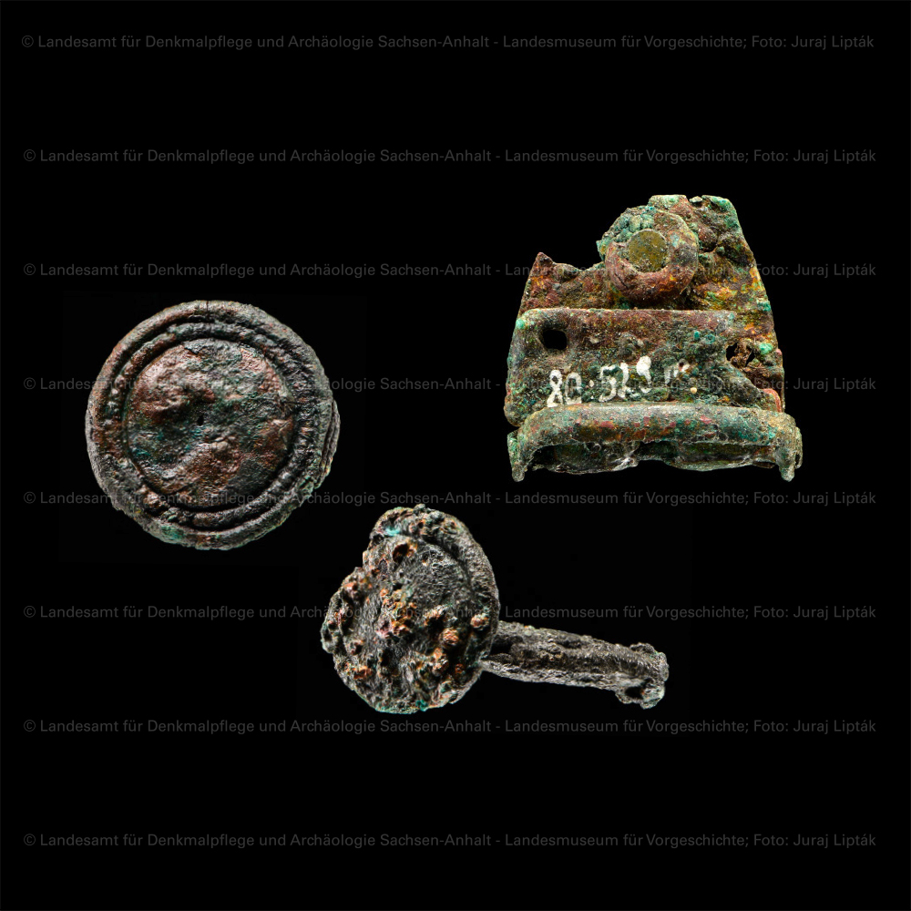 Bronzebeschläge von einem Schwertgurt (Landesamt für Denkmalpflege und Archäologie Sachsen-Anhalt - Landesmuseum für Vorgeschichte RR-F)