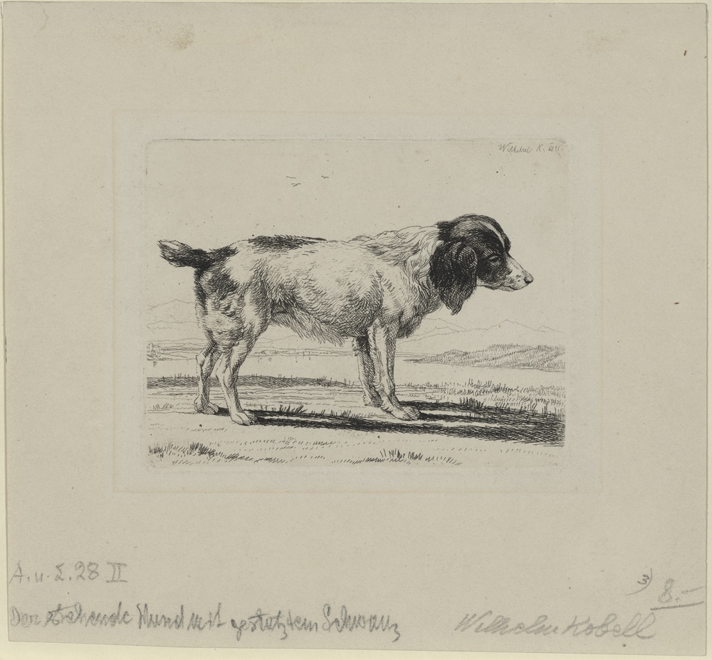 Stehender Hund mit gestutztem Schwanz (Kulturstiftung Sachsen-Anhalt CC BY-NC-SA)