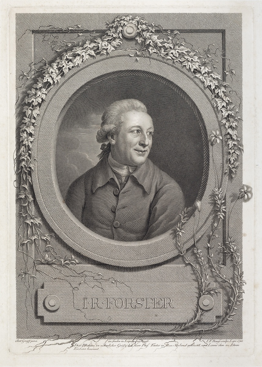 Johann Reinhold Forster (Kulturstiftung Dessau-Wörlitz CC BY-NC-SA)